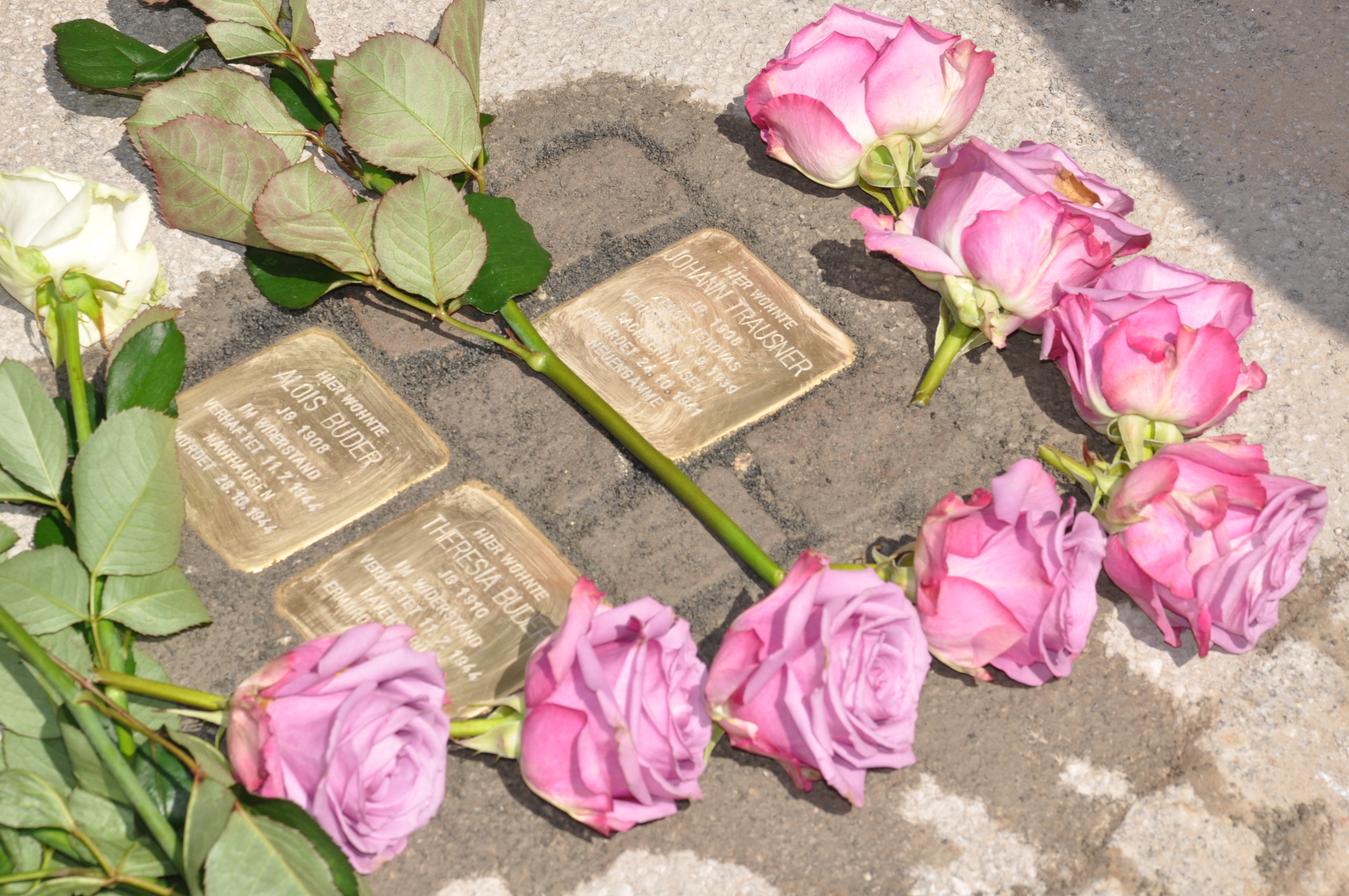 „Geschichtswerkstatt“ St. Johann im Pongau Stolpersteinverlegung